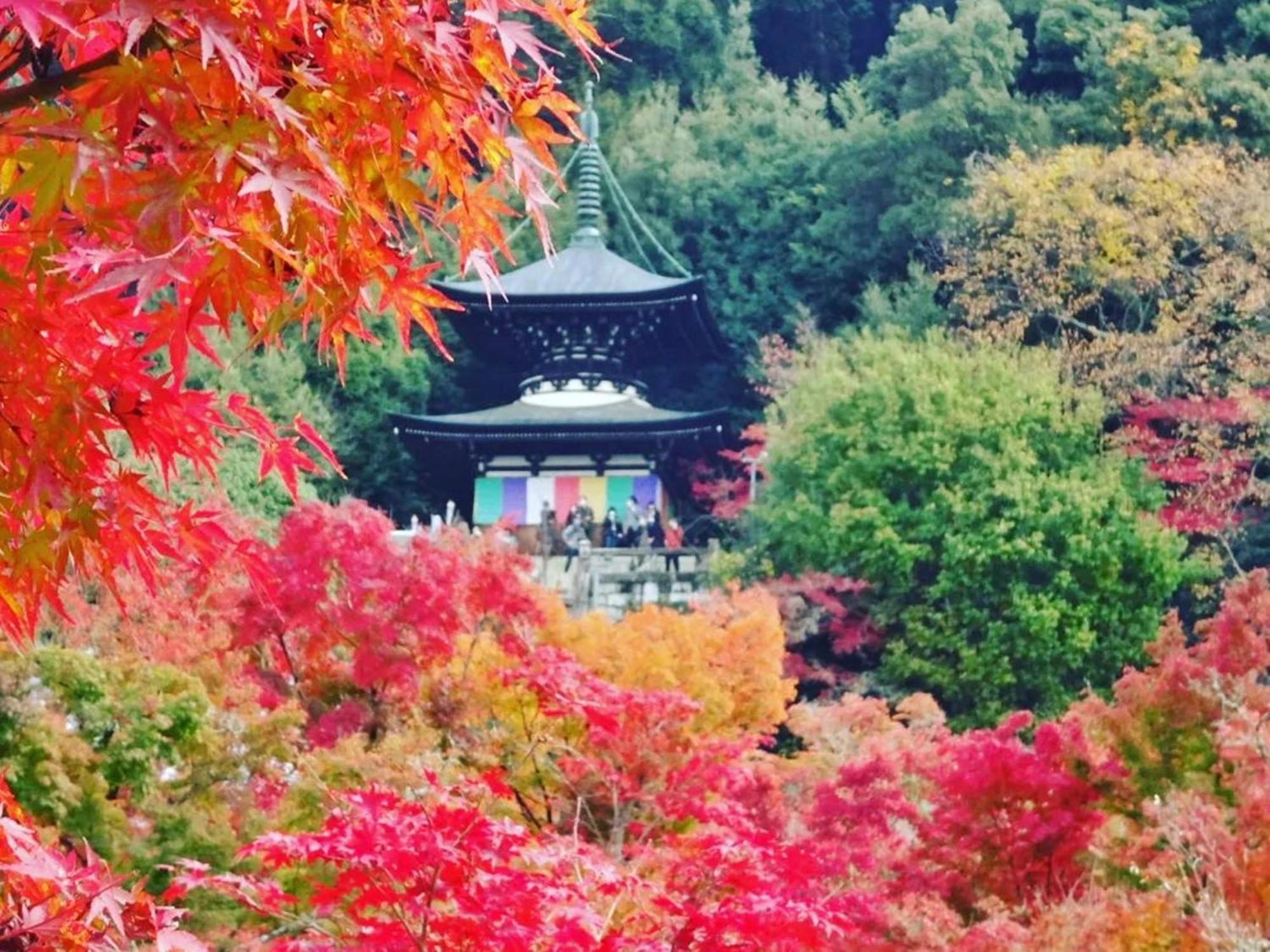 Yamamoto Ryokan Kioto Exterior foto
